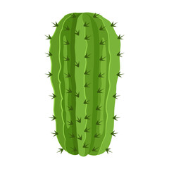 Cactus plant flat illustration, editable design 