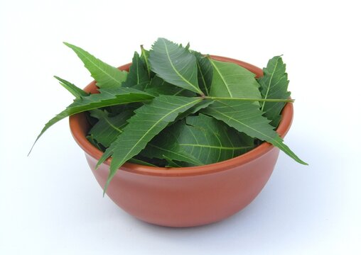 Neem leaves in a bowl on white background 