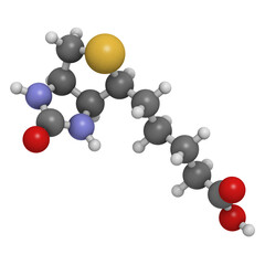 Vitamin B7 (biotin) molecule