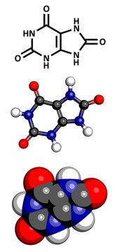 Uric Acid Gout Molecule, Chemical Structure.