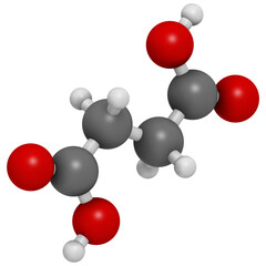 Succinic acid (butanedioic acid, spirit of amber) molecule. Intermediate of citric acid cycle. Salts and esters known as succinates.