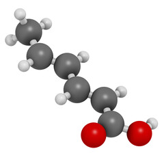 Sorbic acid food preservative molecule. Sorbate (sodium, potassium, calcium) also used for same purpose.