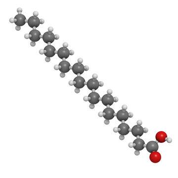 Stearic acid saturated fatty acid, molecular model