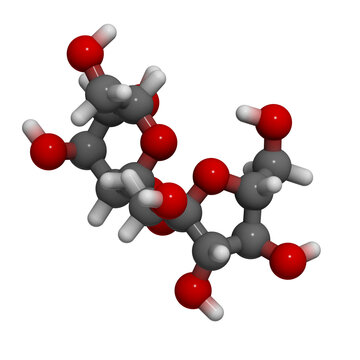 Sugar (sucrose, saccharose) molecule, chemical structure