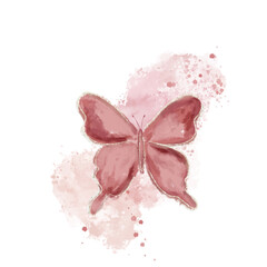 Beautiful beige watercolor abstract translucent butterfly on the white background.
