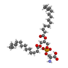Phosphatidylserine (PS) cell membrane building block, molecular model.