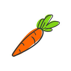 carrot hand drawn doodle fruits