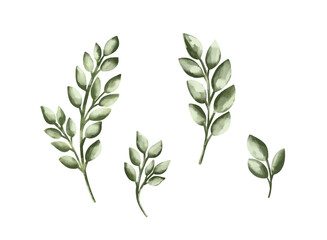 Birch twigs with catkins set. Green spring sprigs vector