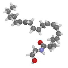 Anandamide endogenous cannabinoid neurotransmitter molecule.