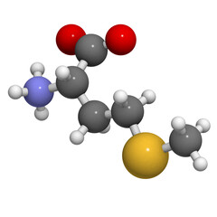 Methionine (Met, M) amino acid, molecular model.
