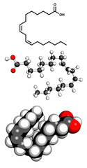 Omega-6 unsaturated fatty acid (linoleic acid, LA), molecular model.