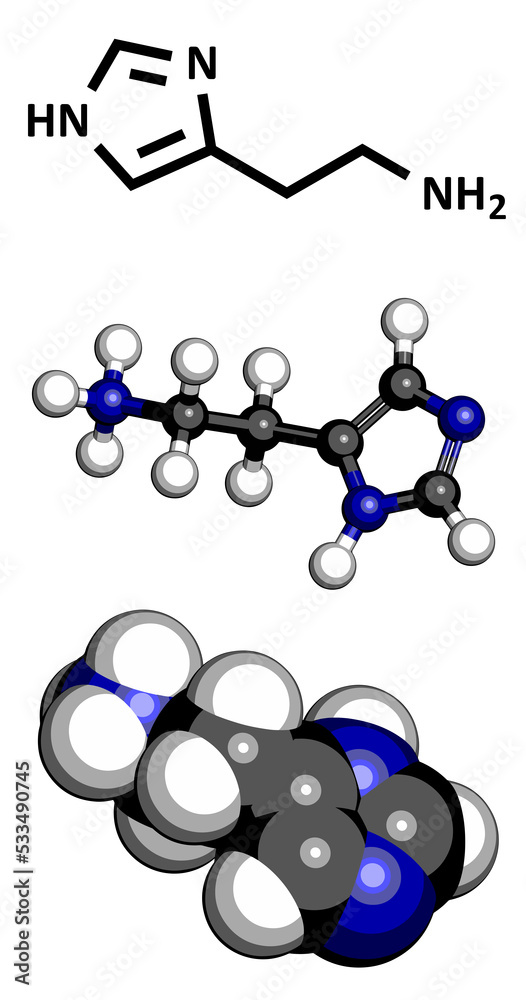 Wall mural Histamine neurotransmitter, molecular model