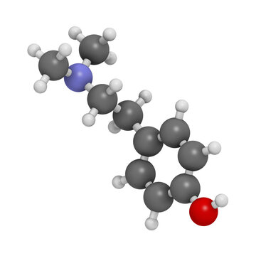 Hordenine (dimethyltyramine) stimulant molecule, chemical structure.