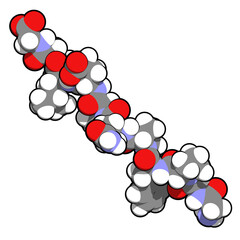 Gliadin derived peptide. Immunogenic breakdown product of gliadin (gluten), playing an essential role in celiac disease.