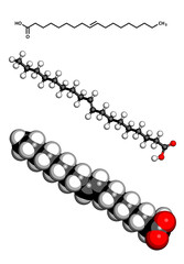 Fototapeta premium Elaidic acid trans fatty acid, molecular model