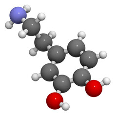 Dopamine neurotransmitter molecule, chemical structure