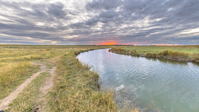Channel in Tidal Marshland nature reserve Saeftinghe