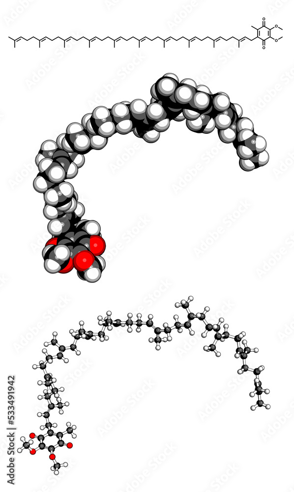 Wall mural Coenzyme Q10 (ubiquinone), molecular model