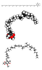 Coenzyme Q10 (ubiquinone), molecular model