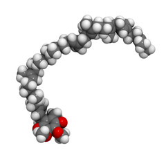 Coenzyme Q10 (ubiquinone), molecular model