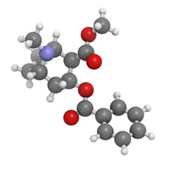 Cocaine drug, molecular model.