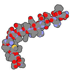 Alzheimer's disease amyloid beta peptide (1-42)