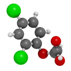 2,4-D (2,4-dichlorophenoxyacetic acid) Agent Orange ingredient. Synthetic auxin plant hormone, used as pesticide and herbicide and ingredient of Agent Orange.