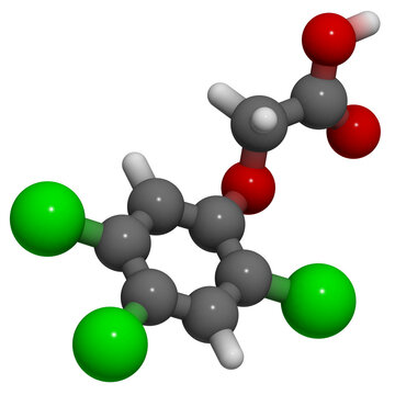 2,4,5-Trichlorophenoxyacetic acid (2,4,5-T): molecular structure (3D)