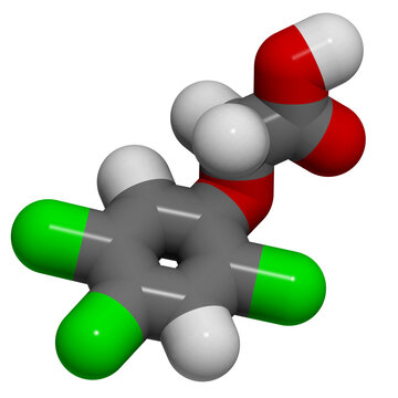 2,4,5-Trichlorophenoxyacetic acid (2,4,5-T): molecular structure (3D)