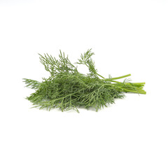 Dill on white background