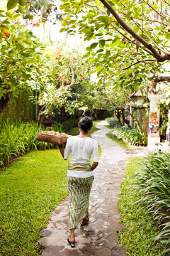 Balinese woman makes morning offerings at a hotel. Bali, Indonesia. These offerings to the spirits are made on a daily basis throughout Bali.