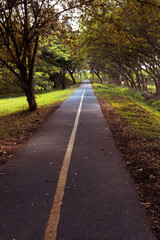 beautiful autumn landscape of bicycle road in the forest in Colombia outdoors in sunny day