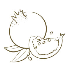 simple contour line sketch design element print packaging fruit cosmetics and nutrition sphere plant edible pomegranate isolated on white background