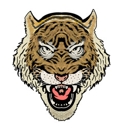 head of tiger, Color, hand-drawn portrait of a growling leopard on a white background.