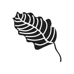 leaf vector black and white silhouette Sketch Drawing
