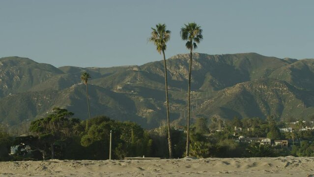 View of Santa Barbara, California palm trees and mountain sides behind sandy coast line