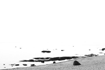 ink sea