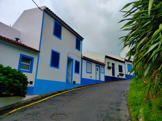 colorful houses with hydreangea flowers bloom, at flores island at the azores portugal