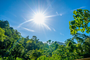 Fototapeta premium sun and sky