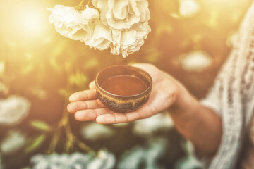 Cacao ceremony in the garden, heart opening medicine. Ceremony space. Rose background.
