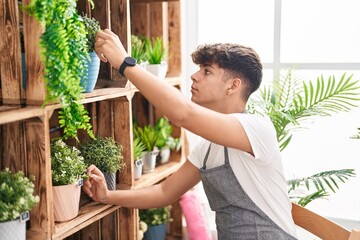 Young hispanic teenager florist touching plant at flower shop