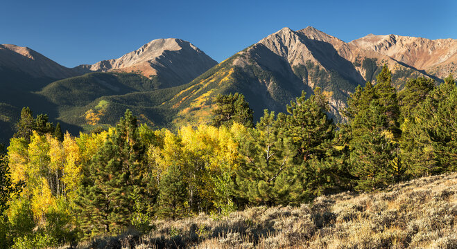13,993 Foot Mount Hope, 13,290 & 13,333 Foot Twin Peaks, with 13,783 Foot Rinker Peak rise above colorful aspen trees in the Twin Lakes Recreation Area. 
