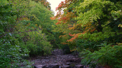 Fall colors at Mississauga, Ontario, Canada 