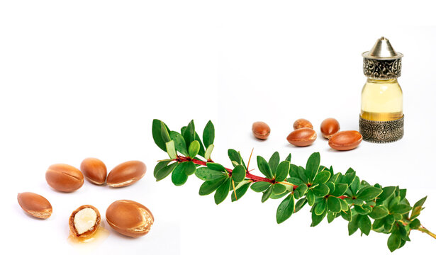 Cosmetic means: authentics oriental bottles with cosmetic oil, argan nuts and green leaves of argania spinosa tree on isolated background. 