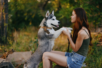 A woman with a husky breed dog smiles and affectionately strokes her beloved dog while walking in nature in the park in autumn against the backdrop of sunset