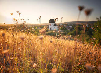 Fototapety na wymiar - Fototapeta24.pl