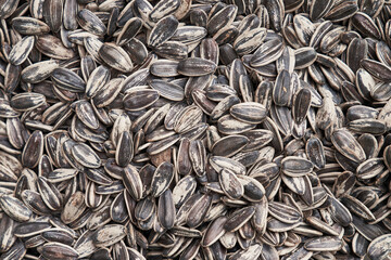 Beautiful sunflower seeds image
