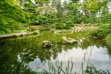 Japanese garden in  Dusseldorf  -early autumn with ponds and carps KOI