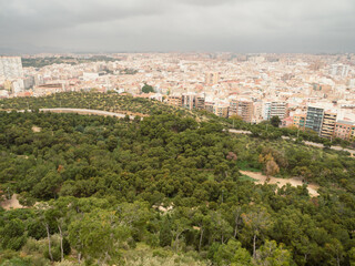 Obraz premium OLYMPUS DIGITAL CAMERA