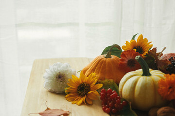 Autumn still life. Pumpkins, flowers, berries and nuts on rustic wooden table against window. Seasons greeting card, space for text. Happy Thanksgiving! Harvest at farm